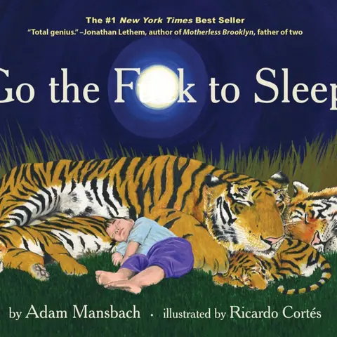 Used Hard Cover Subversive Literature Book - Go the F*ck to Sleep by Adam Mansbach, 2011 Edition, 32 Page Illustrated Humor Book for Parents, Like New, English Text, New York Times Bestseller Candidate (Humanities & Social Sciences, History & Culture)