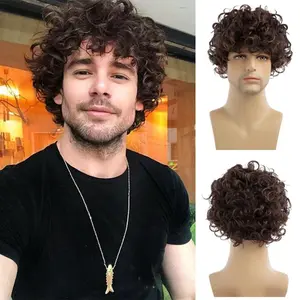 Men's Short Brown Curly Wig Fluffy Teddy Curly Wig High Temperature Fiber Synthetic Hair Wigs for Male Daily Wear