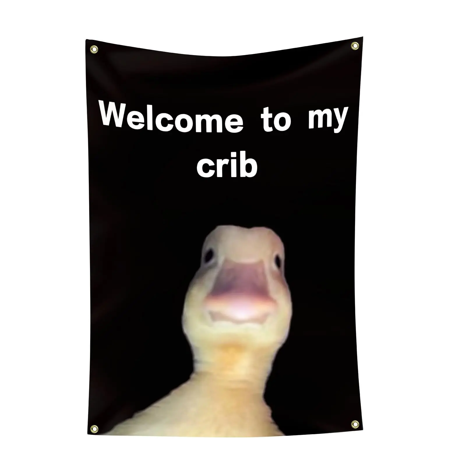 2x3 Ft "Welcome to My Crib" Durable Wall Flag with Brass Grommets, Funny Home Decor Tapestry for College Dorm Rooms, Outdoor Parties