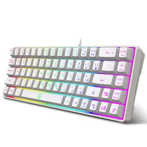 Snpurdiri 60% Gaming Keyboard, LED Backlit Keyboard, 68 Keys, Small Mini Keyboard, Windows PC Laptop, White