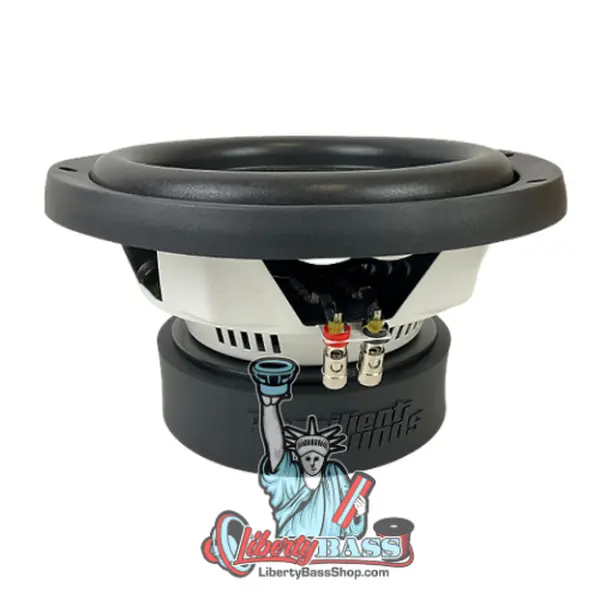 Resilient Sounds RS 10 V2 – 600W RMS 10” Entry Subwoofer