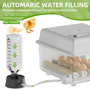 Smart Constant Temperature Automatic Egg Incubator for 16 Eggs, Intelligent Hatching Machine with Auto Watering Feature