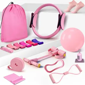 16-Piece Pilates & Yoga Set with Resistance Bands, Adjustable Abs Pad, Back Support Cushion, Home Gym System, Home Gym Kit, Unisex, Christmas Gift