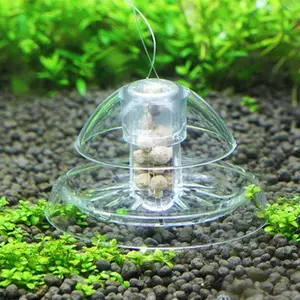 STOP Snail Infestation in Your Aquarium – NO Chemicals! Only Snails trap