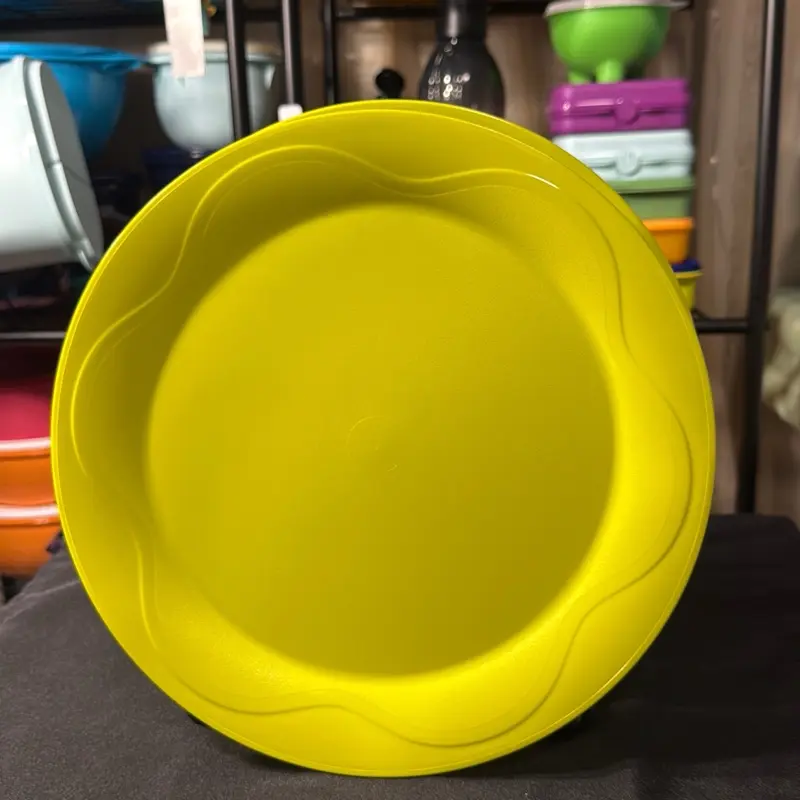 Tupperware Floresta Dinner Plates Set