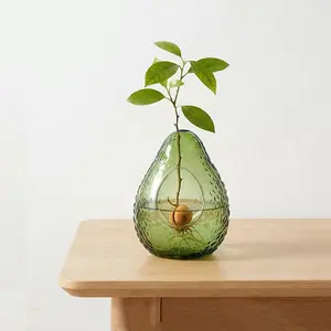 Avocado Hydroponic Vase, Avocado Seed Kernel Water Culture Glass Bottle, Plant Growing Container, Cute Style, Decorative Vase, Modern Plant Vase, Table Decor, 1pc