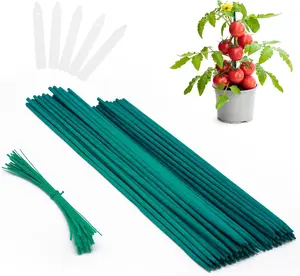 Plant Stakes 50 PCS Garden Green Bamboo Sticks Plant Support Stakes Indoor and Outdoor Plants, Natural Bamboo