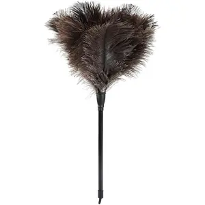 Ostrich Feather Mini Duster Brush - 14.9 in Lightweight Cleaning Supply with Plastic Handheld, for Room, Keyboard, Office (1 Count)