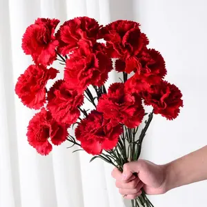 12pcs Vibrant Artificial Carnation Bouquet, Fade-Resistant Plastic Flowers, Indoor/outdoor Decoration, Perfect for Weddings, Holidays