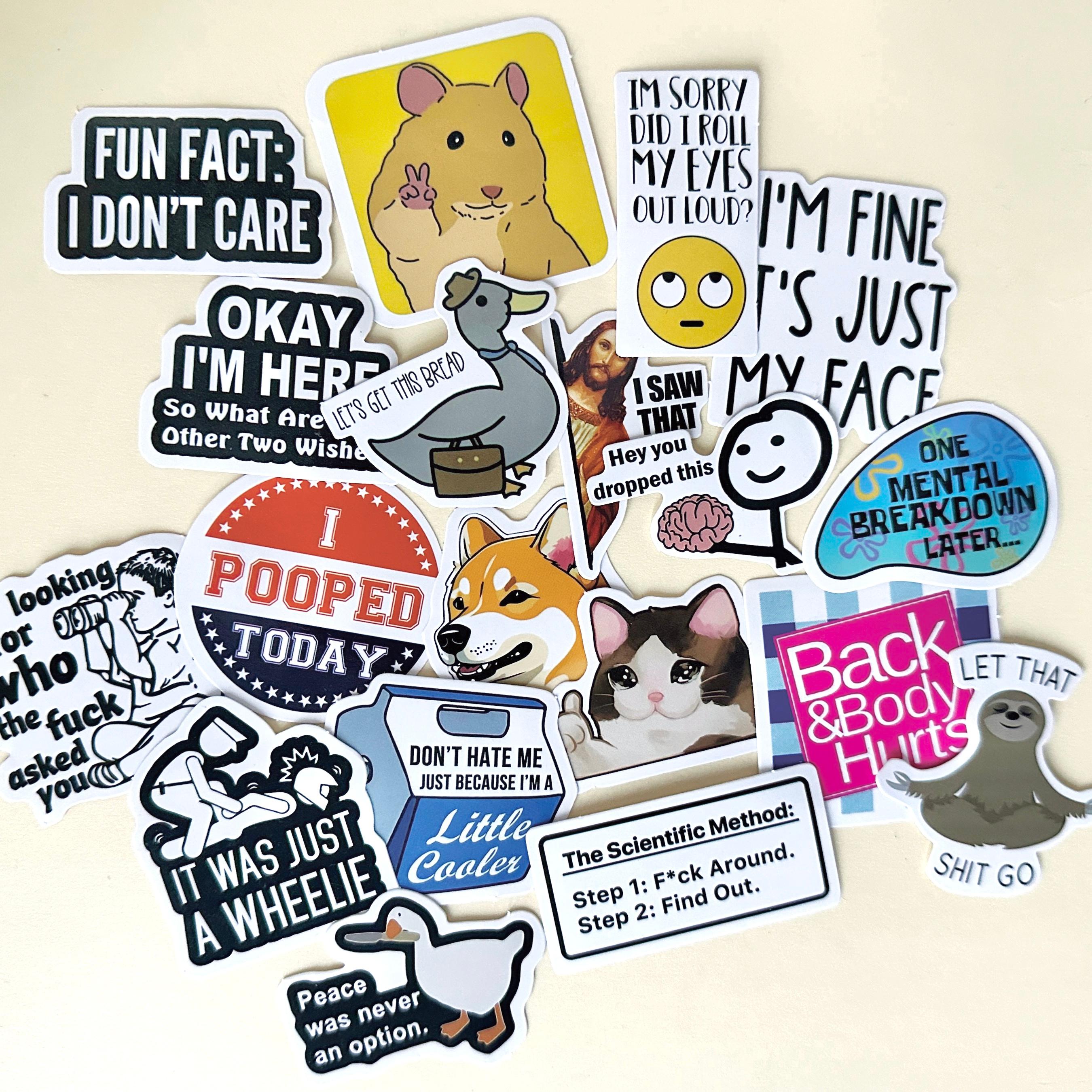 130PCS Meme Funny Saying Sticker Pack Snarky Sarcastic Bold Humor Waterproof Stickers for Laptop iPad Folding Chair
