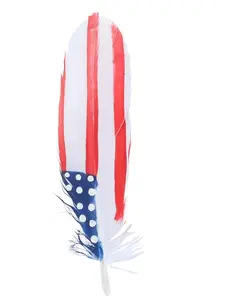 Hand Painted USA Hat Feather Accessory 42038