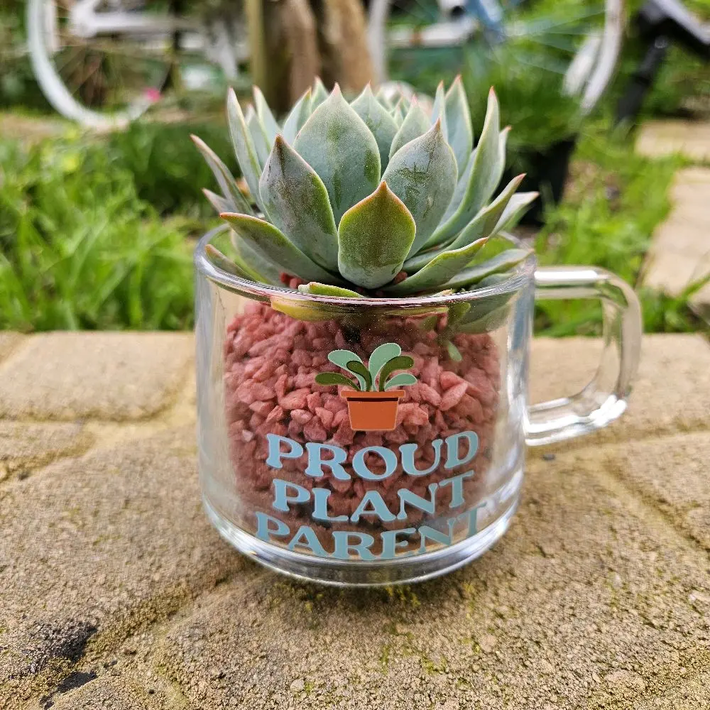“Proud Plant Parent” Succulent Mug Planter | Glass or Ceramic Option