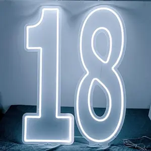LED Neon Light Number Sign, Single Digit 0-9, USB Powered Wall Mount Decor, Adjustable Brightness, Perfect for Birthday, Anniversary, Home, Bar, Club, Wedding Gift
