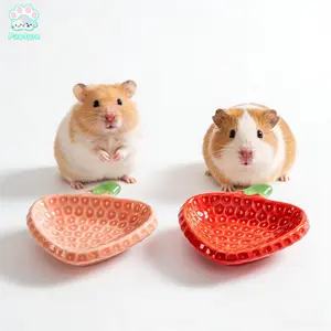 2 Pack Hamster Bowls, Ceramic Hamster Food Bowl, Chew Resistant Small Animal Feeding Dish, Heavyweight for Hamsters, Gerbils, Chinchillas, Hedgehogs & Rats, Cute Strawberry (Pink & Red)