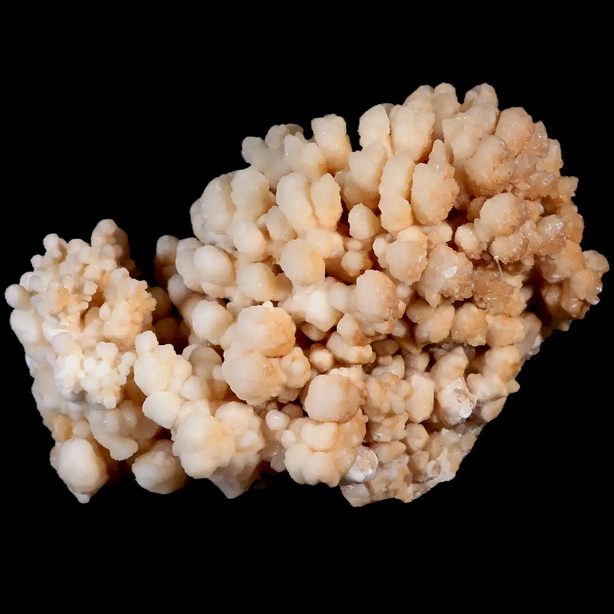 4.2" Botryoidal Aragonite Cave Calcite Crystal Cluster Mineral Specimen Morocco