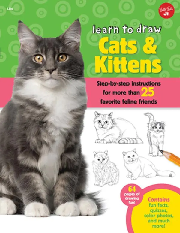 USED Book - Learn to Draw Cats & Kittens: Step-By-Step Instructions for More Than 25 Favorite Feline Friends by Cuddy, Robbin (Paperback) - english