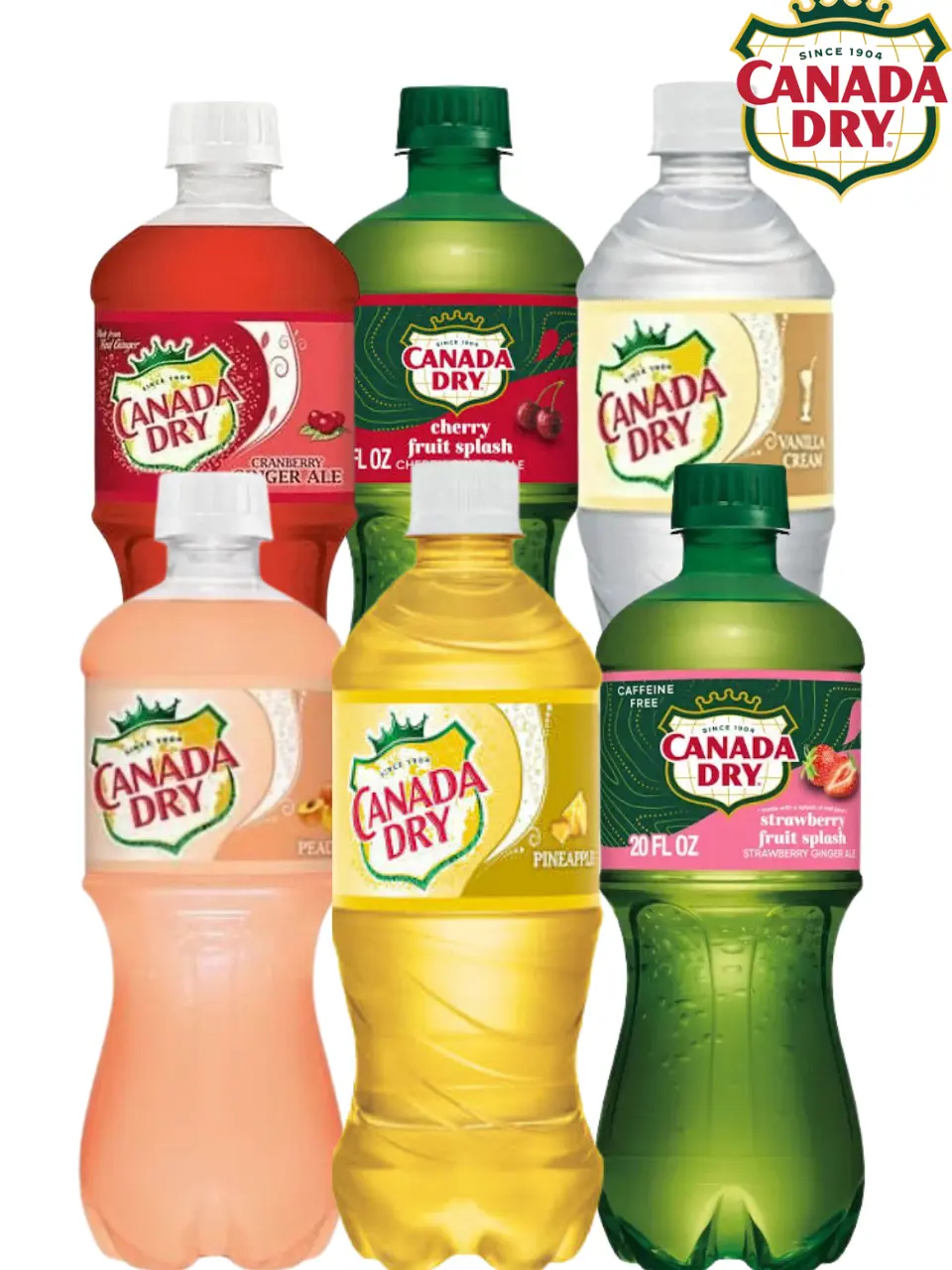 6 Pack Variety-Canada Dry Ginger Ale Soda 20 oz Bottles | Choose 6 Pack Individual Flavor or Variety Pack | NYC Bodega Favorites | Canada Dry Fruit Splash, Peach, Pineapple, Vanilla Cream & More | NY Snack Pantry