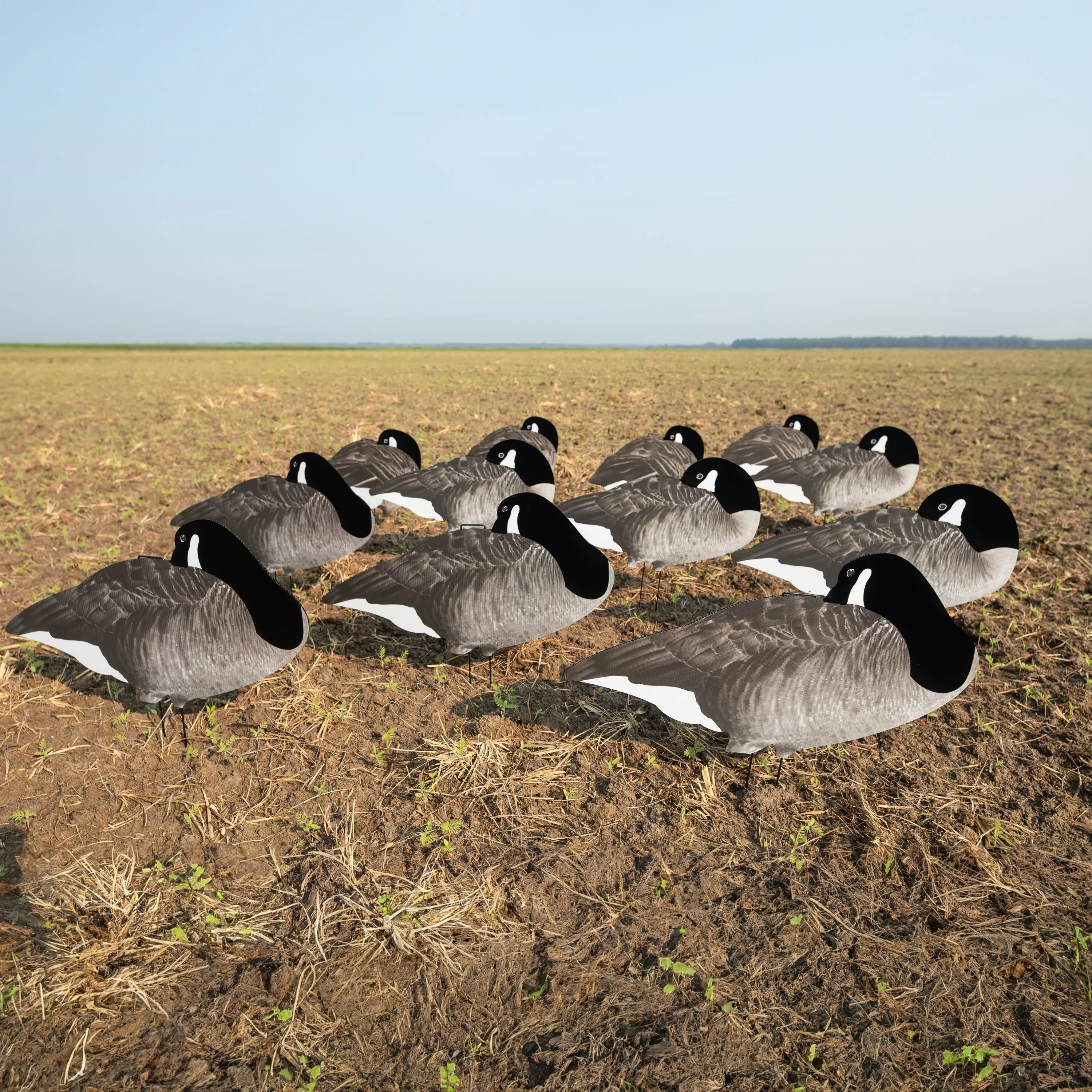 V2F Flocked Sleeper Canada Goose Silhouettes