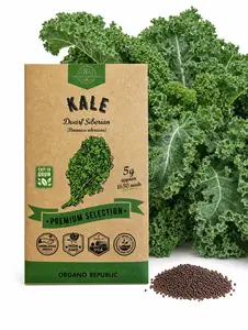 Kale Dwarf Siberian Seeds