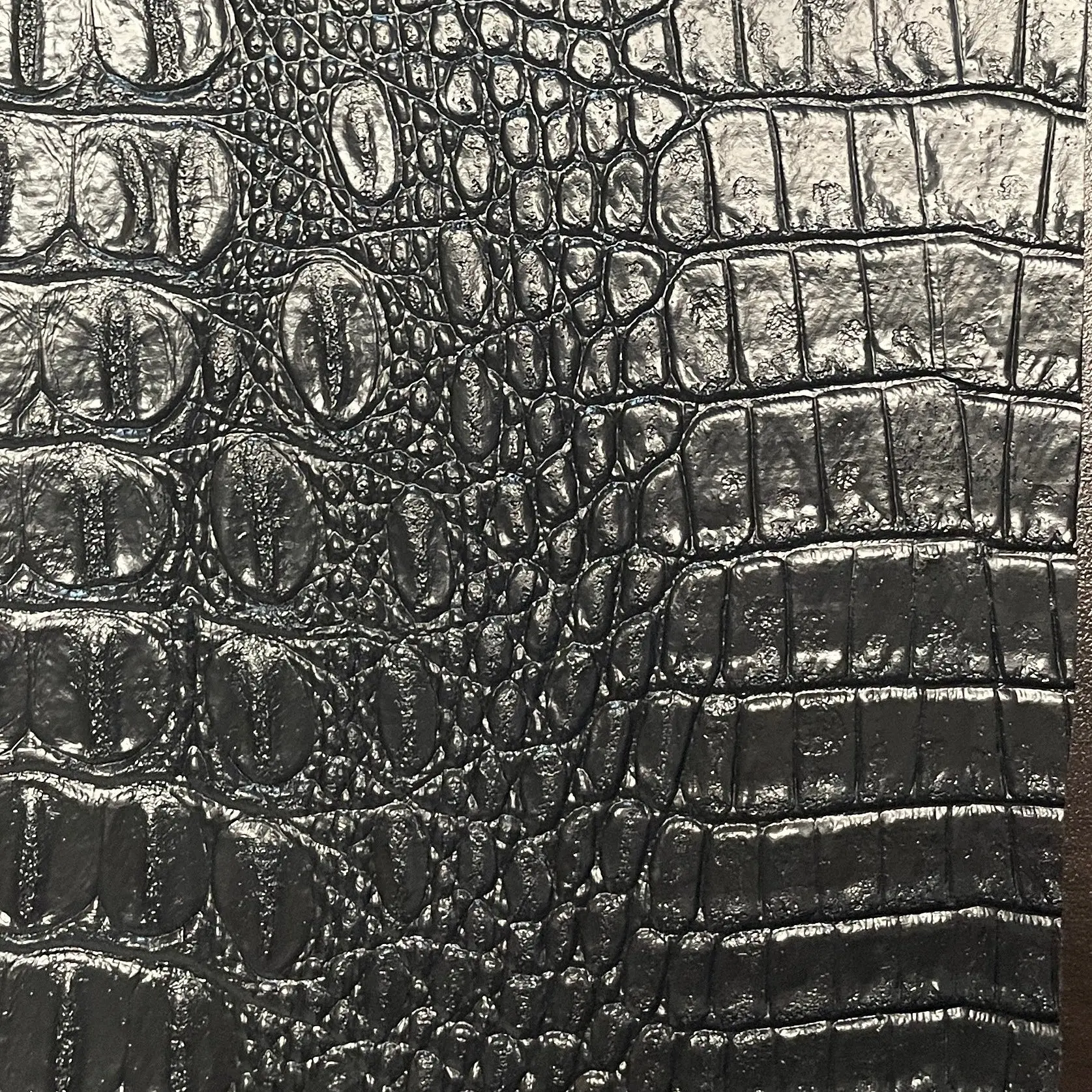 0219 “Noir Gator” Vinyl