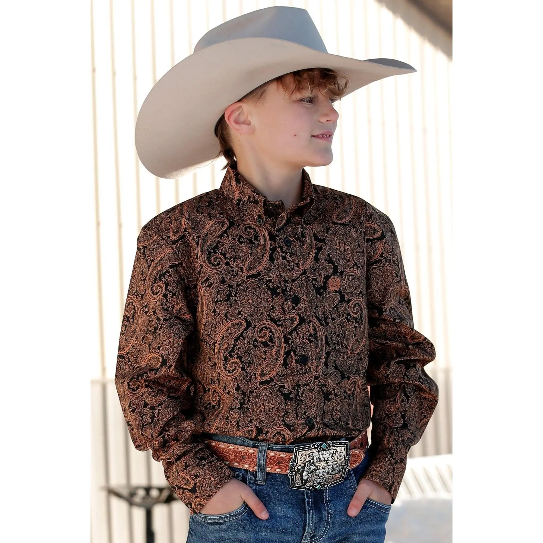 Men's Paisley Print Shirt, Western Long Sleeve Button-Down in Cotton Plain Weave, Urban Cowboy Country Concert Outfit, Woven, Tops, Pocket