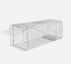 Humane Live Animal Trap - 24" Foldable & Reusable Cage for Cats, Raccoons, Squirrels,Safe, No Poison & Easy to Use,Perfect for Indoor & Outdoor
