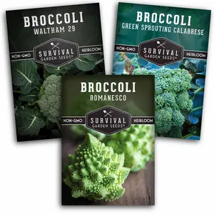 Broccoli Seed Collection - 3 Reliable Broccoli Varieties