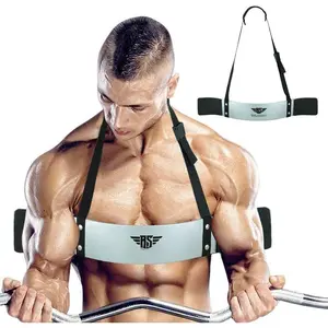 Arm Blaster for Biceps & Triceps Dumblls & Barlls Curls  Builder Bicep Isolator for Big Arms Bodybuilding & Weight Lifting Support for Strength &  Gains by