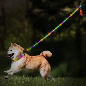 LED Light Up Dog Leash and Collar, Rechargeable, Waterproof, Glow in the Dark, Luminous, Reflective, Dog Leash