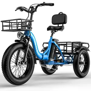 Electric bicycle for adults , three wheels electric bicycle, 48V20.8 Ah large removable battery ,20inch bike with basket ,bicycle for comment  beach  man womens  all terrain , one year warrenty  ,Cybervelo ebike C16