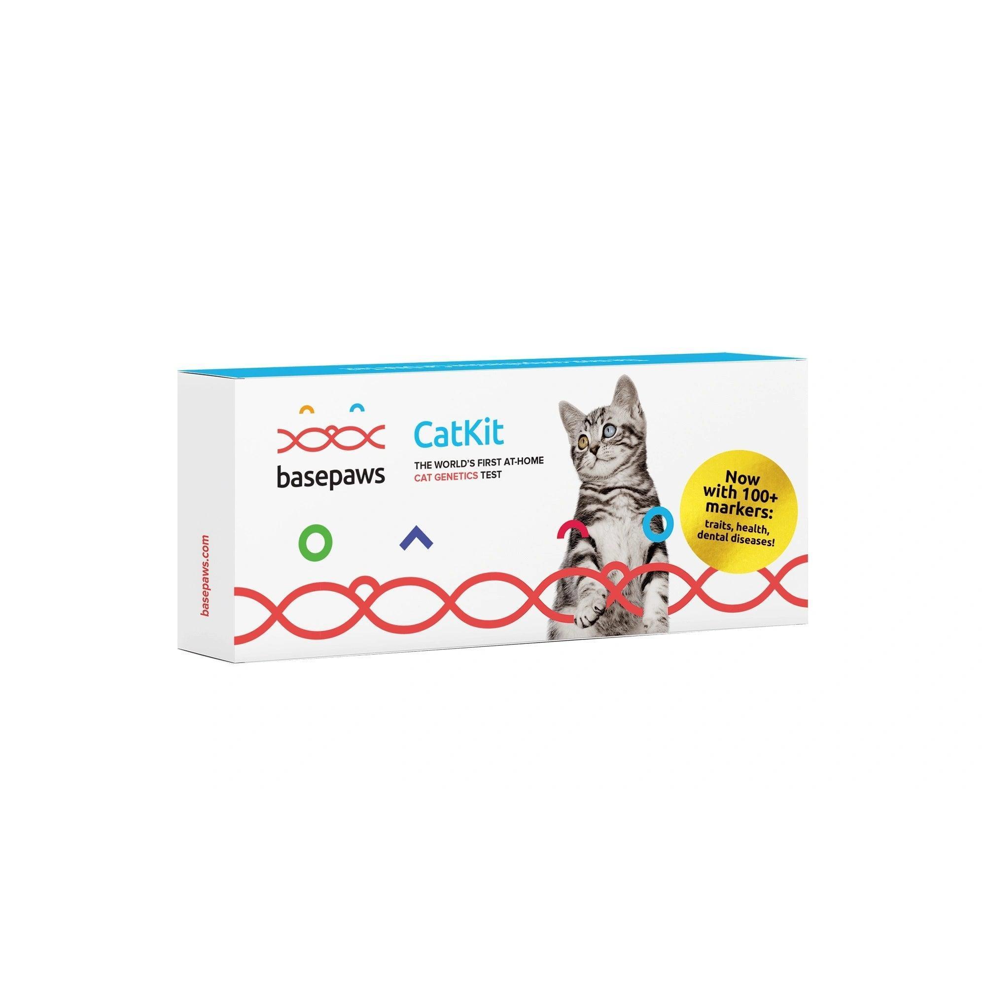 Basepaws Cat DNA Test, Breed & Health Reports, Wildcat Index, 39 Health Markers, 17 Genetic Diseases - 1 Pack