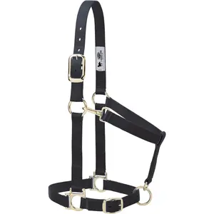 Weaver Leather Padded Nylon Halter – Large, PVC Comfort Nose