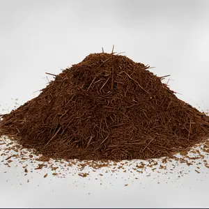 Tree Fern Fiber — Premium Substrate for Plant Growth