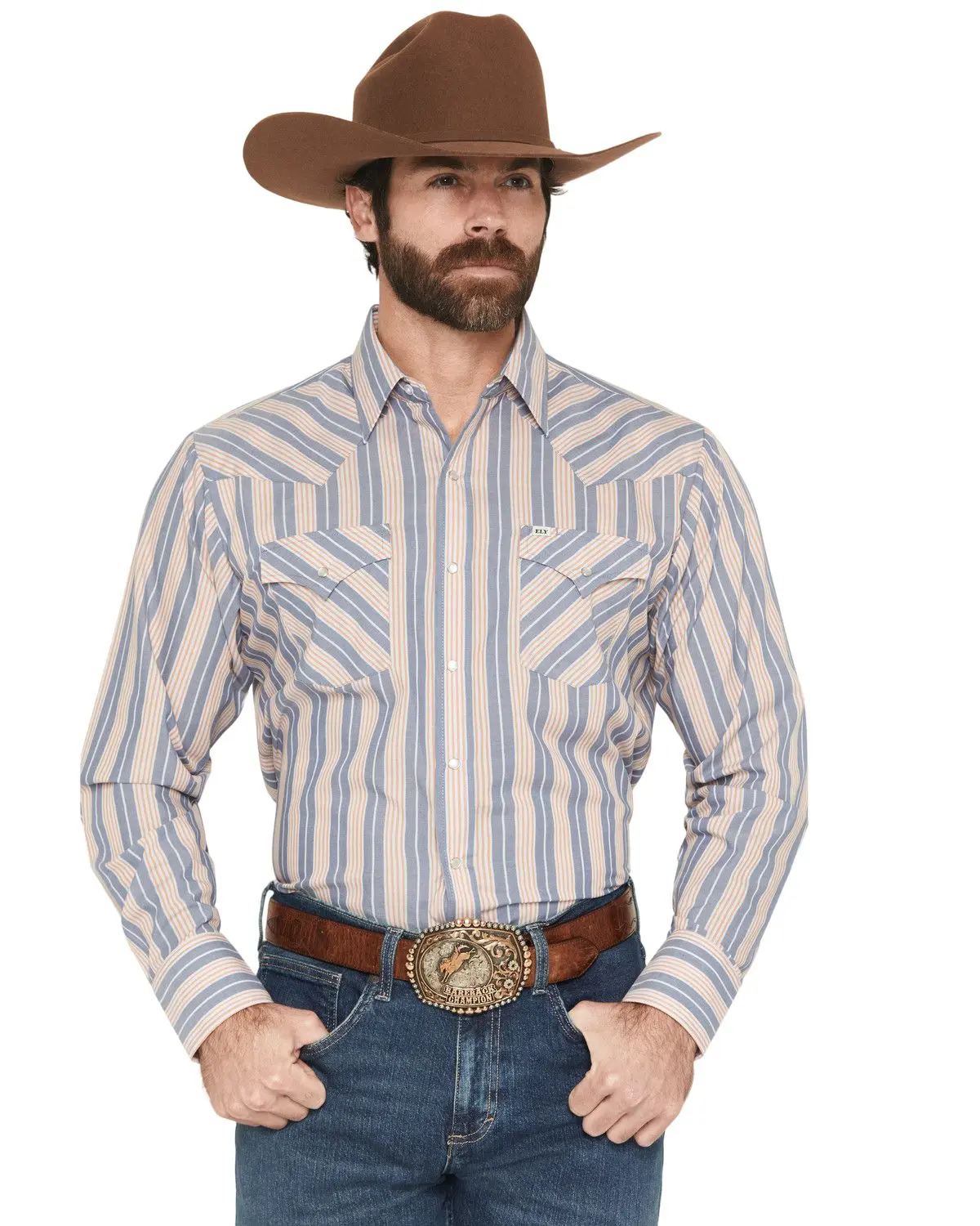 Ely Walker Men's Men'S Striped Long Sleeve Pearl Snap Western Shirt - 2029310-Nv