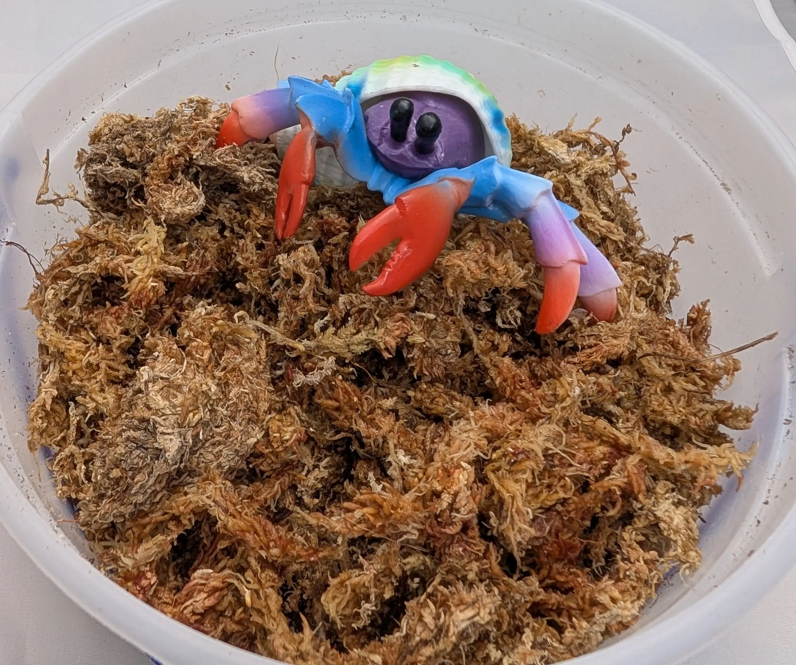 Dry Sphagnum Moss for Hermit Crabs Large | Natural Humidity & Foraging Enrichment