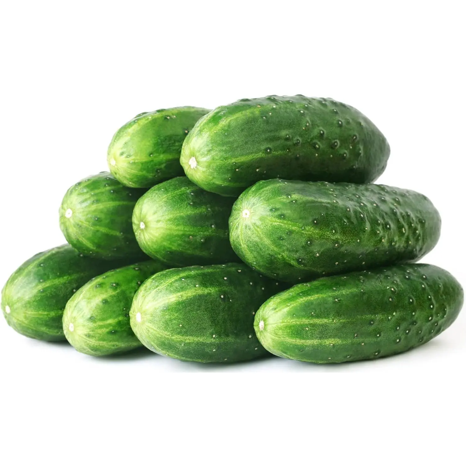 Straight Eight Cucumber