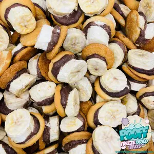 Freeze Dried Chocolate Banana Pudding Bites
