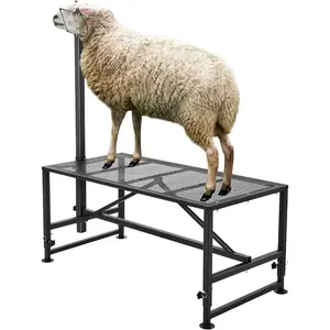 VEVOR Goat Milking Stand - 47x23 inch Metal Livestock Shearing Stand, Adjustable Height 21 to 33, with Headpiece and Nose Loop, 500lbs Capacity, Perfect for Sheep and Goats, WhiteVEVOR Super Brand Day