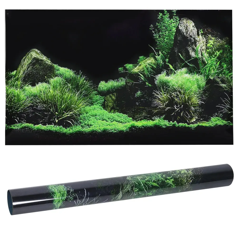 Aquarium Background Aquarium Background