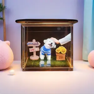 Personalized Acrylic Memory Display Box, Decorative Desktop Keepsake