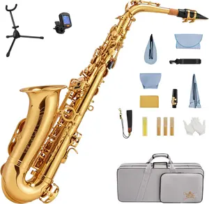 STRICH Eb Alto Saxophone Brass Student Beginner Alto Sax Kit with Hard Case Stand Neck Strap Mouthpiece and Reeds for School Band Home Practice, SSA-31G, Gold tiktokshopspringglowup