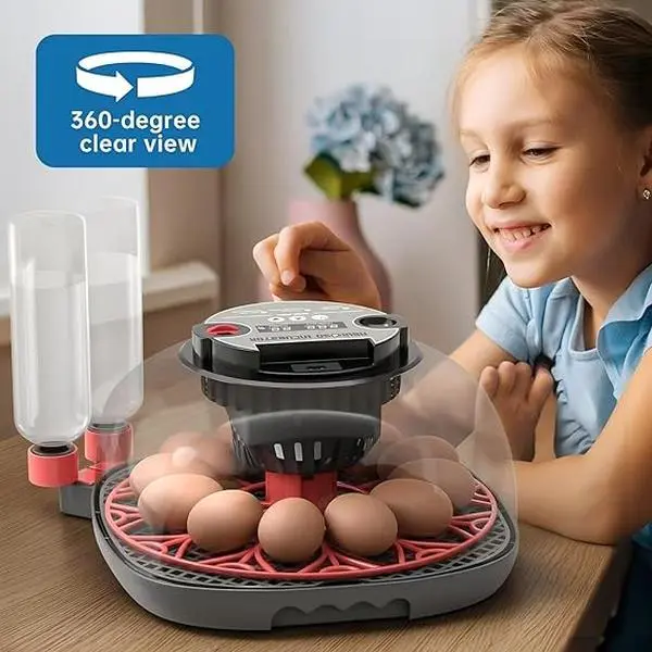 Egg Incubator for Hatching Chicks, Automatic Egg Turner Holds 12 Eggs, Smart Incubator 360° Clear Window with Temperature Display Egg Candler for Small Poultry Chickens Ducks Quails Eggs