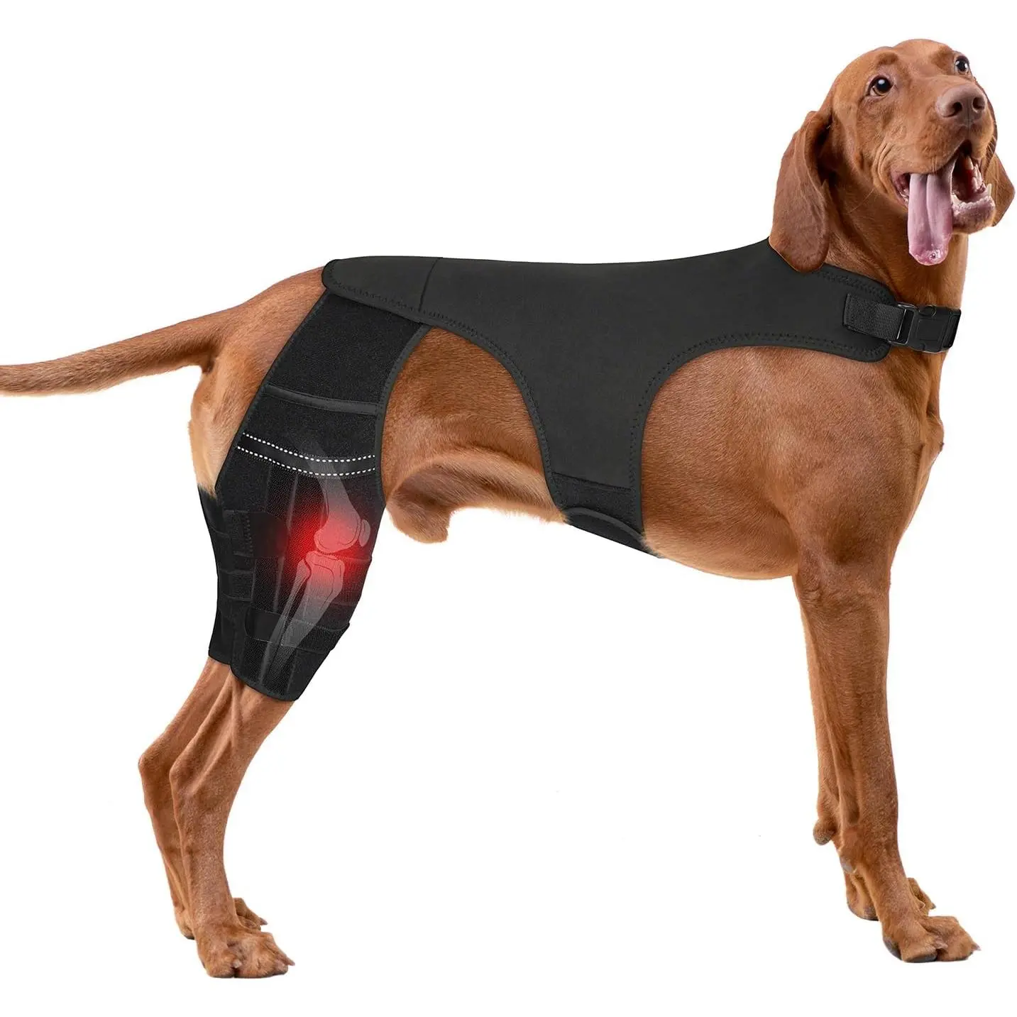 Adjustable Dog Knee Brace (XL) - Breathable Orthopedic Wrap for ACL Tear, Arthritis Recovery, Joint Stability, Pain Relief - Dual Hind Leg Support with Harness Connection - Non-Invasive Rehabilitation for Small to Large All Breeds in Walks, Daily Routines