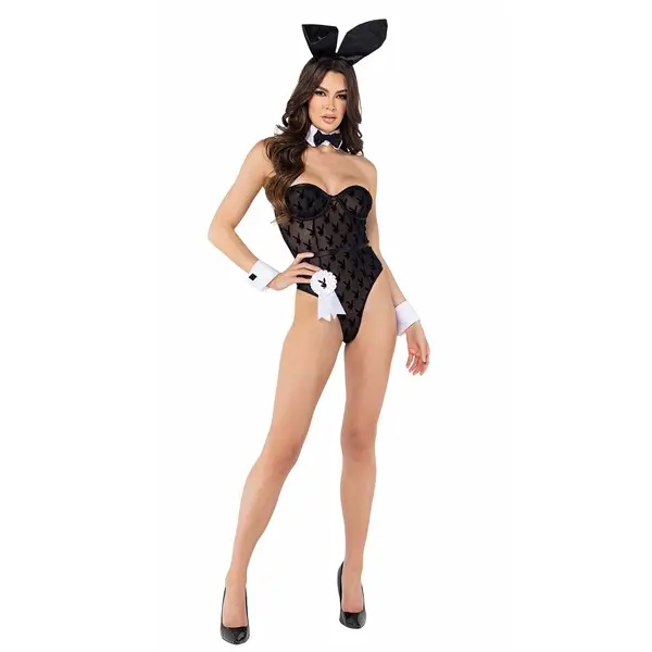 Women's Sheer Playboy Bunny Costume