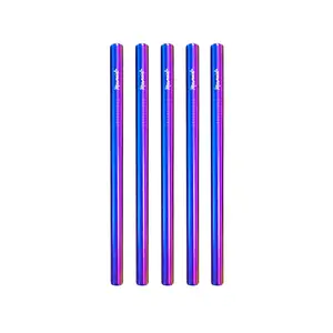 Stainless Steel Smoothie Straw Packs