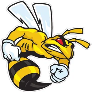 Ski-Doo Angry Bee Decal