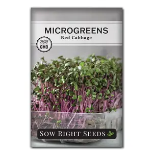 Microgreens Red Cabbage Seeds
