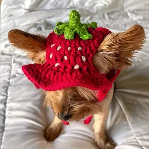 Strawberry Crochet Pet Hat