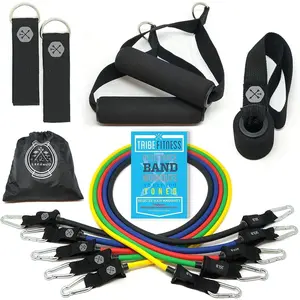 Resistance Bands Set for Men, Women, Exercise & Workout. Fitness Bands for  & Bicep Work. Workout Bands for Working Out. Stretch Bands for Physical . Strength Bands. Elastic Weight .