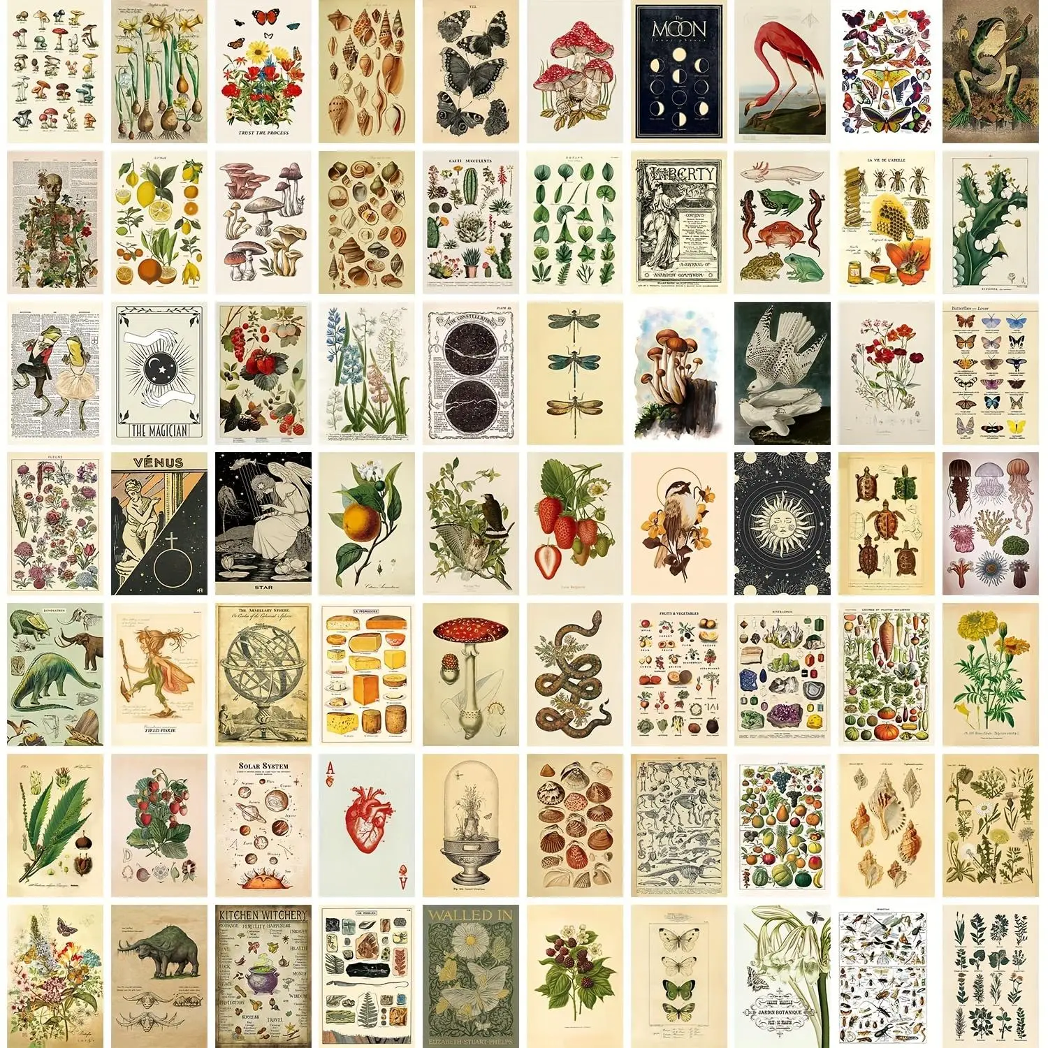 70 Pcs Wall Collage Kit Aesthetic Pictures, Posters for Room Aesthetic, Vintage Botanical Illustration Aesthetic Pictures, Cottagecore Decor for Bedroom, Dorm Green Wall Art for Boys and Girls sohochic